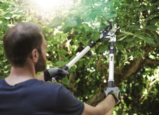 Tipy a rady: Připravte zahradu na zimu