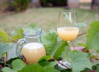 V hlavní roli burčák! Vyrazte na slavnosti do Hustopečí