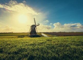 Příběh au pair: 12 dětí v USA, pak holandská reality show