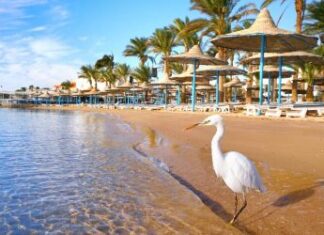 Podzimní exotika pro každého?