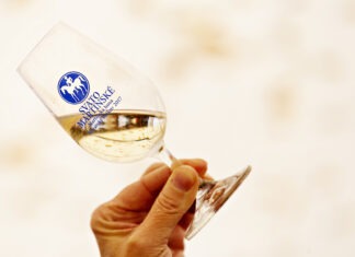 Se sněhem či bez něj. Svatý Martin je za humny