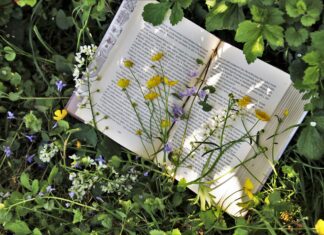 Březen: měsíc plný knih!