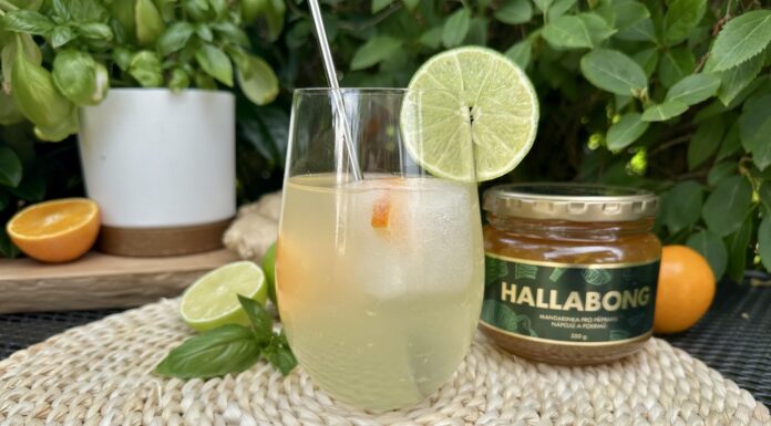 Kombucha pomáhá trávení a zvyšuje energii. Jak si ji správně připravit doma? Kombucha není jen módním nápojem.