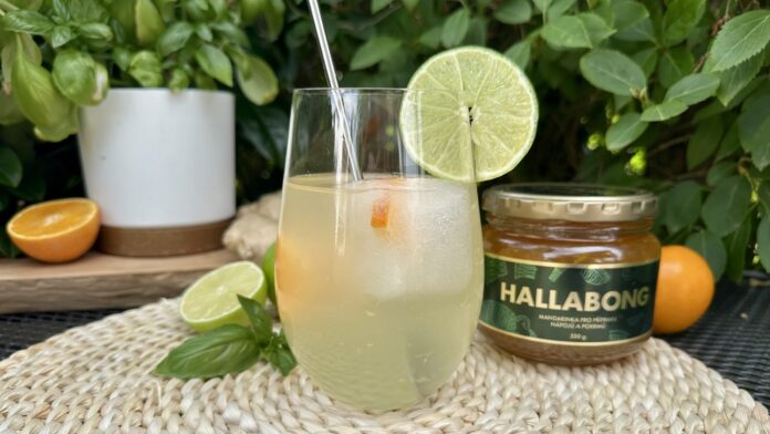 Kombucha není jen módním nápojem.