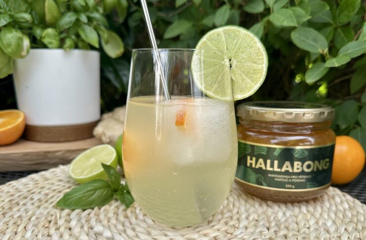 Kombucha pomáhá trávení a zvyšuje energii. Jak si ji správně připravit doma? Kombucha není jen módním nápojem.