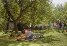 Co dělat při kolapsu?