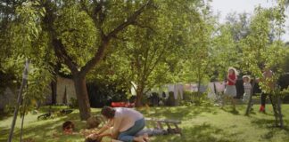 Co dělat při kolapsu?