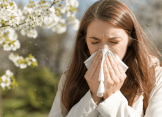 Pylová sezona je tady.