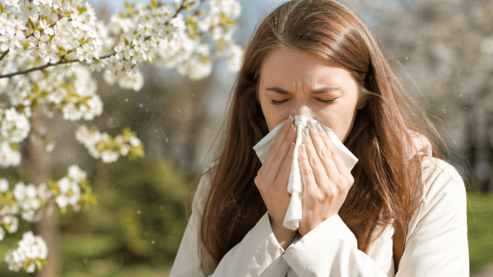 Pylová sezona je tady.