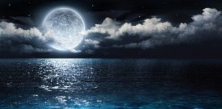 Týdenní horoskop 13. 4. – 19. 4.