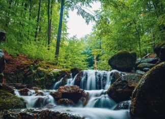 Májové Jizerky: vychutnejte si čas lásky v kraji malebných bučin i křišťálu Jizerské hory skýtá malebná místa.