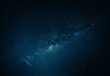 Týdenní horoskop 20. 7. – 26. 7.